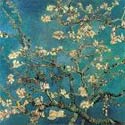 Almond Blossom on Canvas